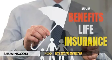 Job Benefits: Life Insurance, What You Need to Know