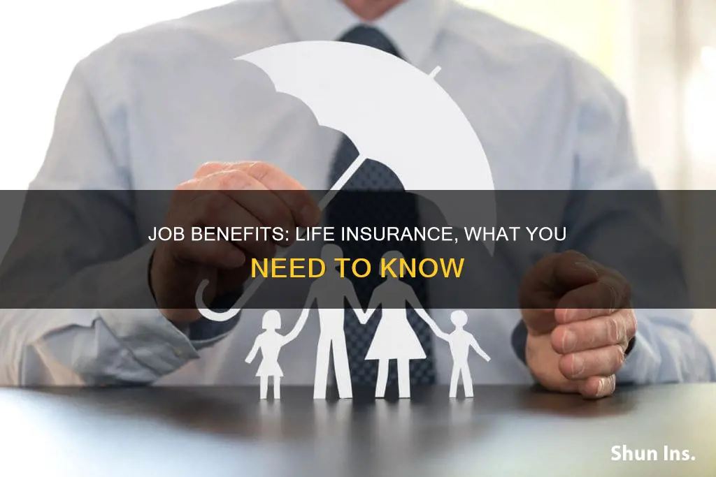 are job benefits life insurance