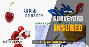 Land Surveyors: Are They Insured?
