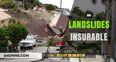 Landslides: Are They Insurable?