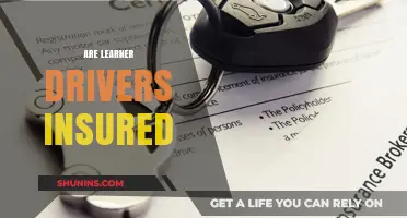 Insuring Learner Drivers: What You Need to Know