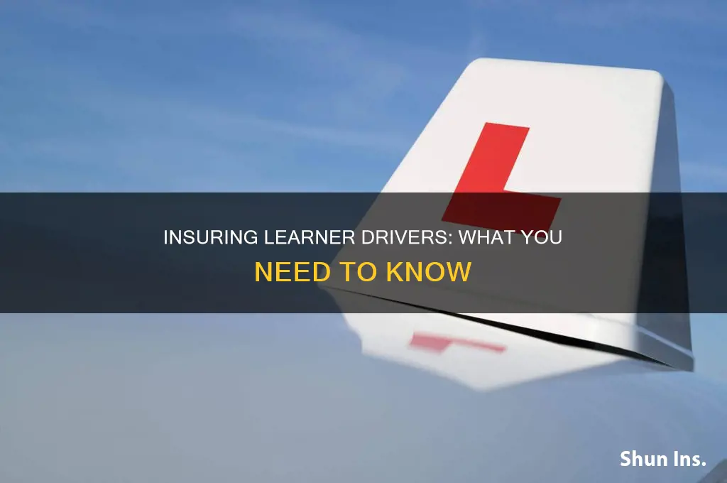 are learner drivers insured