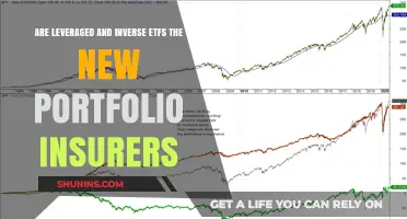 Leveraged ETFs: The New Portfolio Insurers?