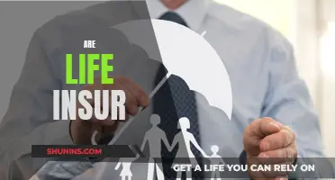 Life Insurance: A Necessary Investment for Peace of Mind