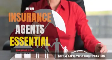 Life Insurance Agents: Essential or Unnecessary?