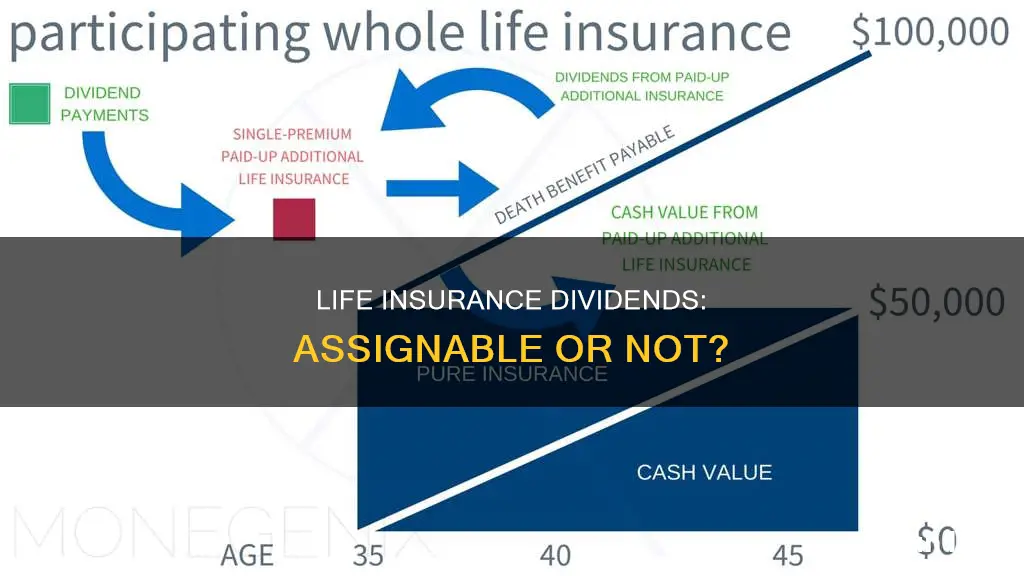 are life insurance dividens assignable