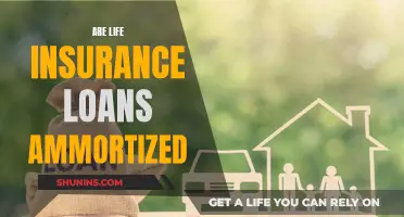 Life Insurance Loans: Are They Truly Amortized?