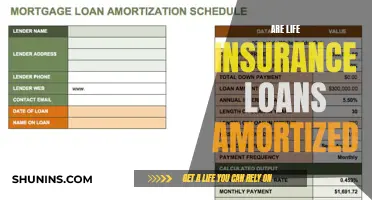 Life Insurance Loans: Understanding Amortization and Its Impact