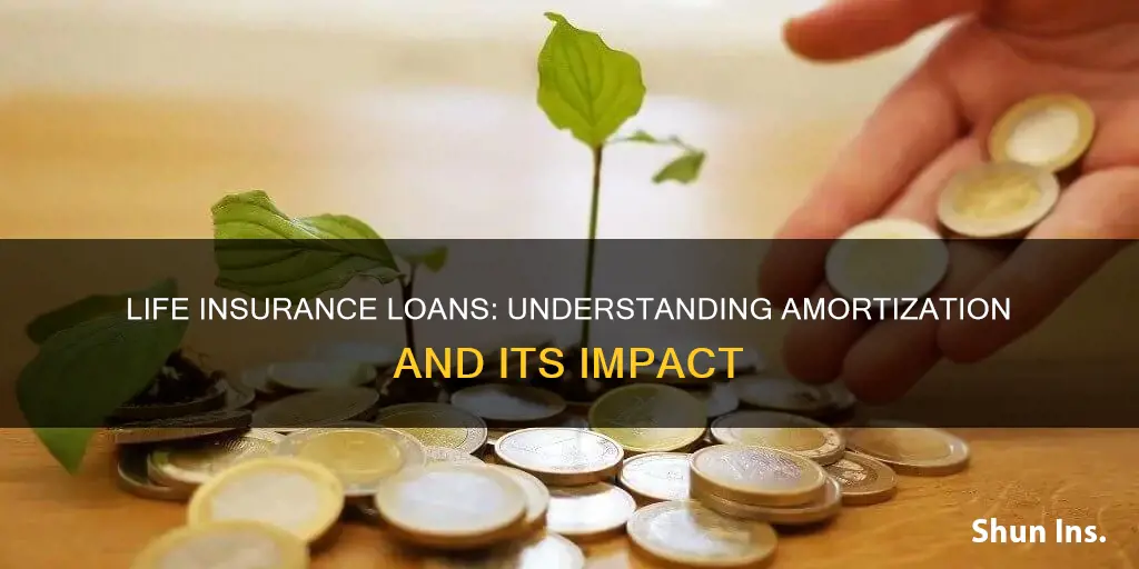 are life insurance loans amortized