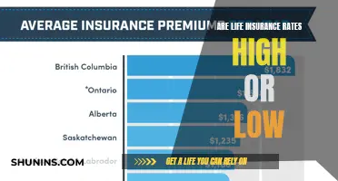 Life Insurance Rates: High or Low?