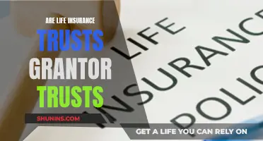 Life Insurance Trusts: Grantor Trust Status Explained