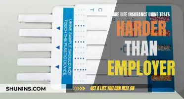 Life Insurance Urine Tests: Harder Than Employers?