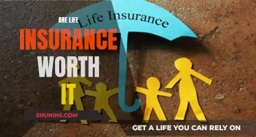 Life Insurance: Necessary Protection or Money Pit?