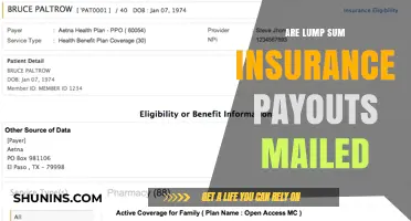 Insurance Payouts: Are Lump Sums Mailed to You?