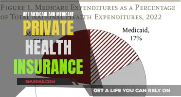 Medicaid and Medicare: Public or Private Health Insurance?