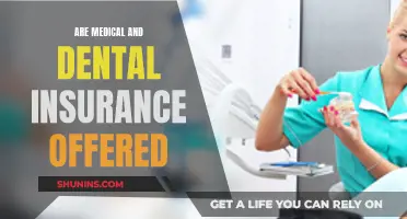 Medical and Dental Insurance: What's Offered and What's Not