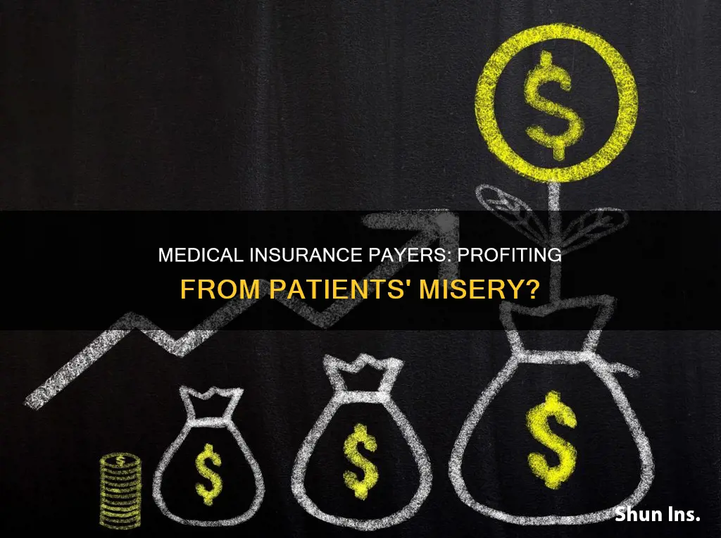 are medical insurance payers for profit