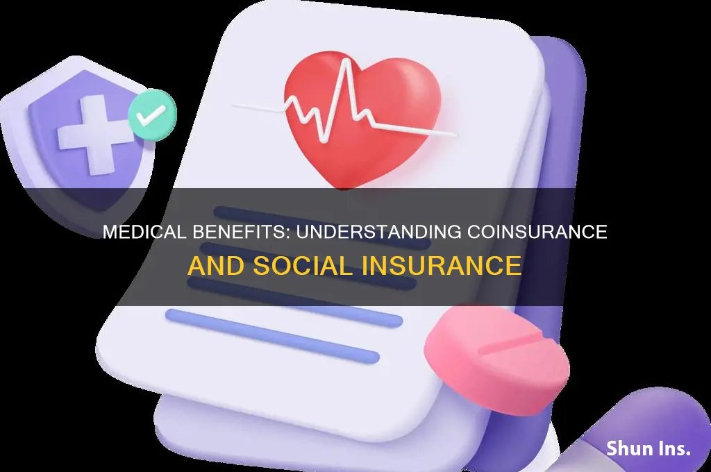 are medicale benefits subject to coinsurancesocial insurance