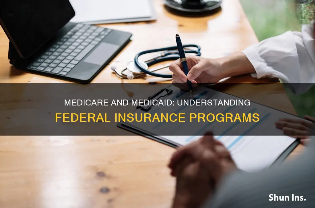 are medicare and medicaid federal insurance programs