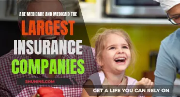 Medicare and Medicaid: Are They the Biggest Insurance Companies?
