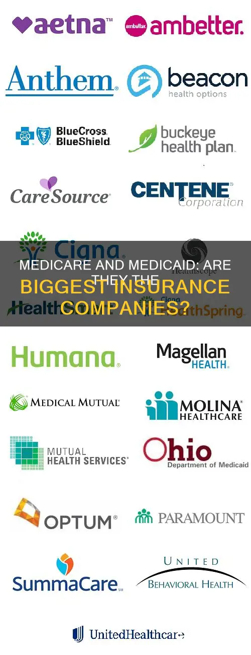 are medicare and medicaid the largest insurance companies