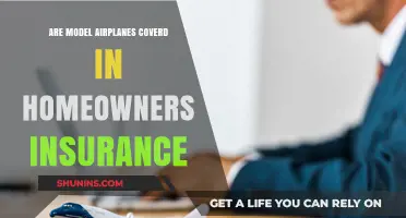 Home Insurance: Are Model Airplanes Covered?