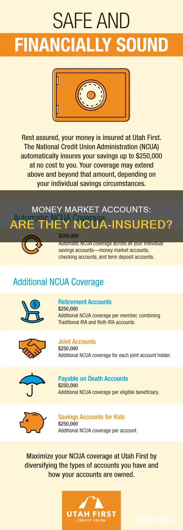 are money market accounts ncua insured