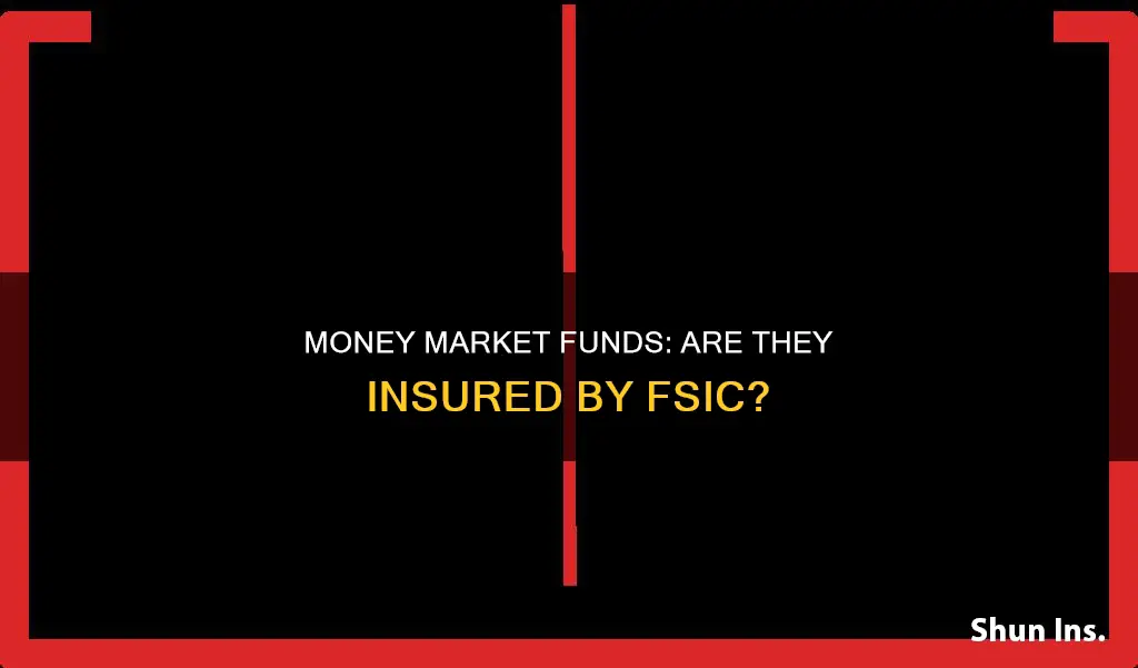 are money market funds insured by fslic