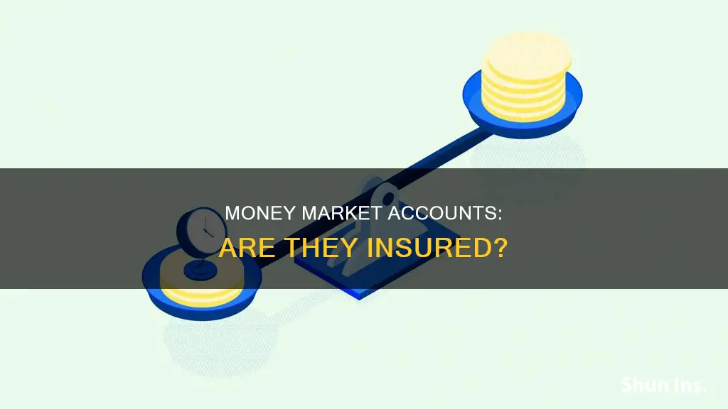 are money markeyt fcis insured