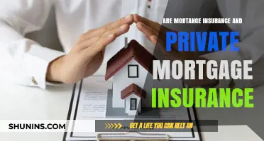 Mortgage Insurance: Private vs Public