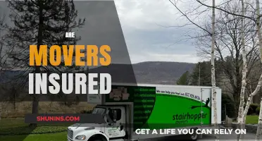 Moving Insurance: What's Covered and What's Not?