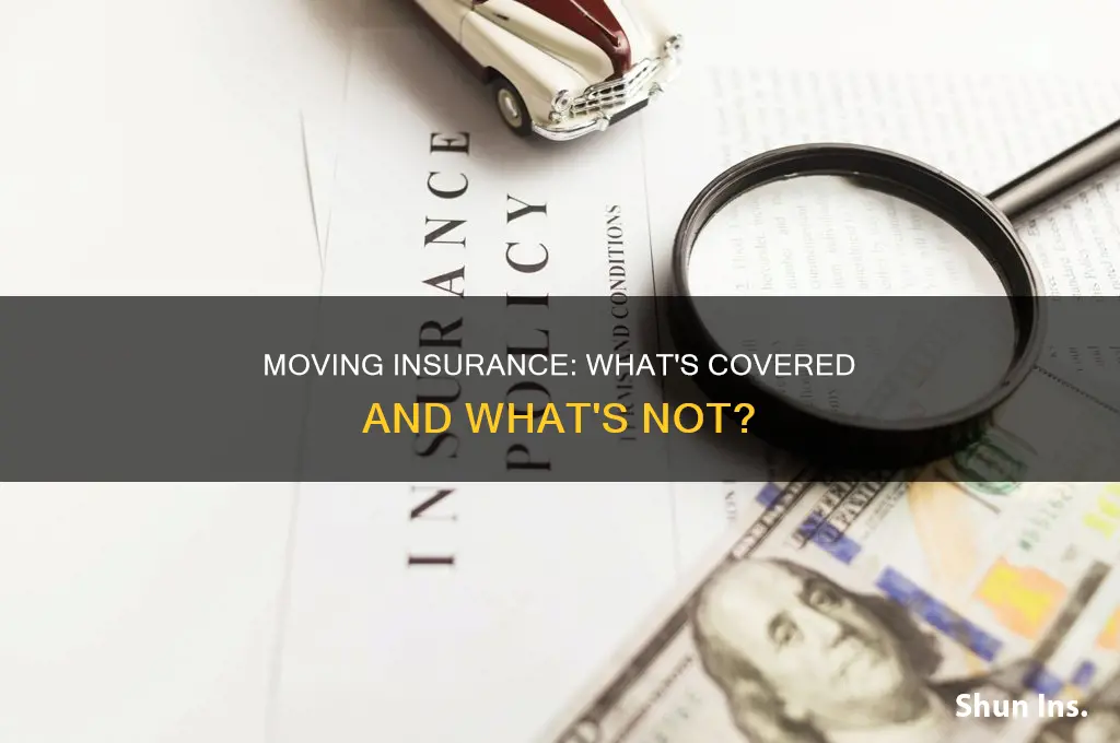are movers insured