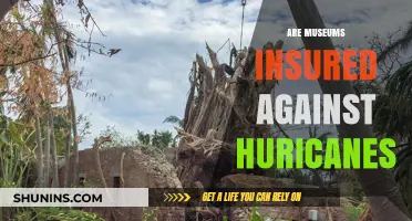 Protecting Priceless Art: Insuring Museums Against Hurricanes