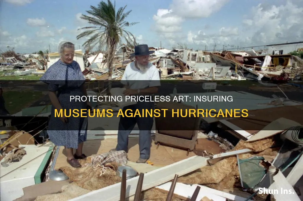 are museums insured against huricanes
