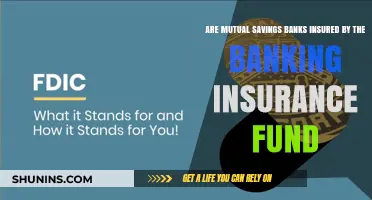 Mutual Savings Banks: Insured by the Banking Insurance Fund?
