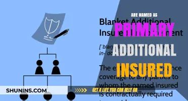 Additional Insured: Understanding the Primary Insured's Name Game