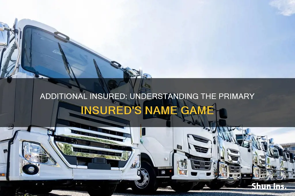 are named as primary additional insured