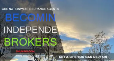 Nationwide Agents: Independence or Status Quo?