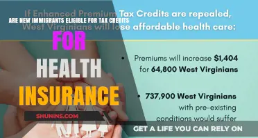 New Immigrants: Health Insurance Tax Credits Eligibility Explained