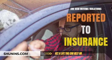 Non-Moving Violations: Do Insurers Know?