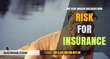 Olde English Bulldogs: High Insurance Risk?