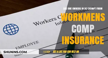 Sole Proprietors and Workmen's Comp: Are You Exempt?