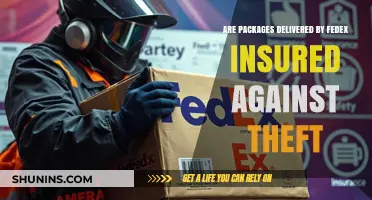 FedEx Package Insurance: What's Covered and What's Not?
