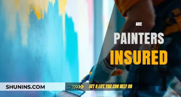 Painters and Insurance: What You Need to Know