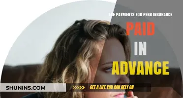 How Pebb Insurance Payments Work: Prepaying Explained