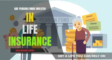 Pension Funds and Life Insurance: What's the Connection?