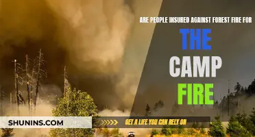 Camp Fire Victims: Insured for Forest Fires?