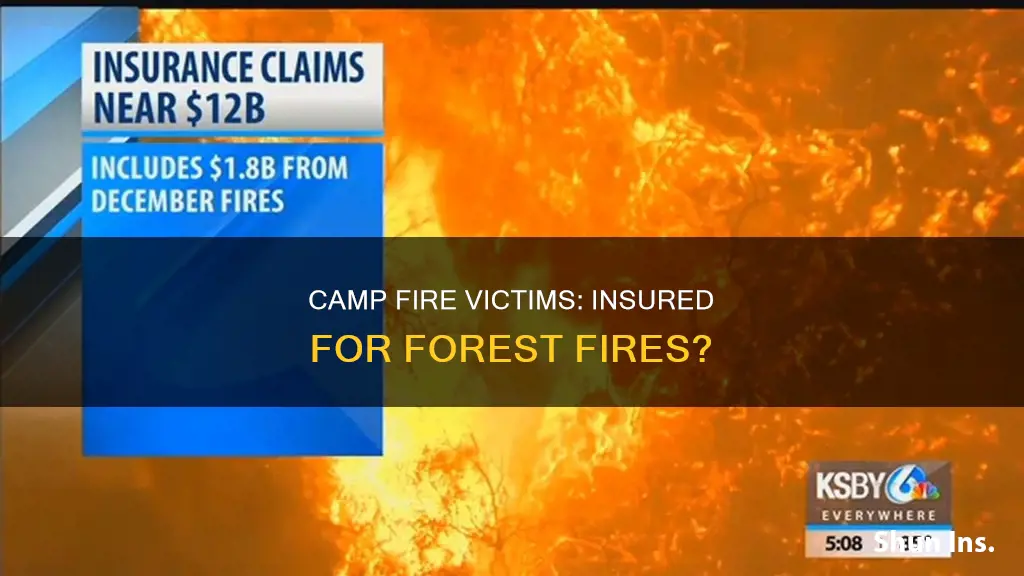 are people insured against forest fire for the camp fire