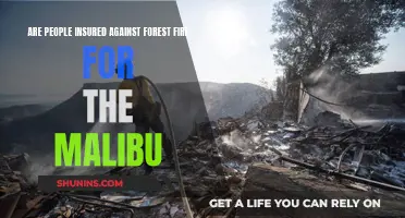 Malibu Forest Fire: Are Residents Insured?