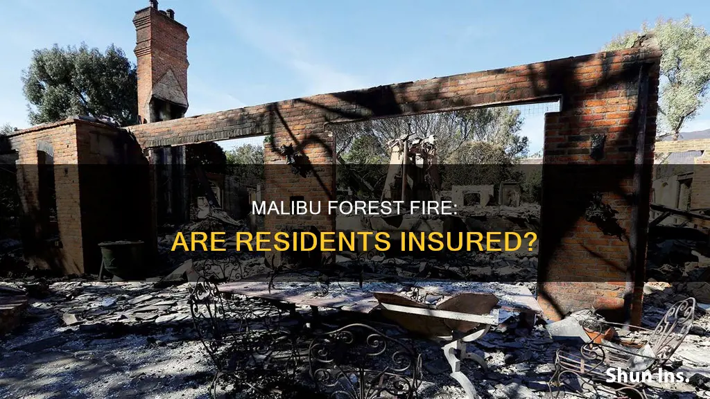 are people insured against forest fire for the malibu